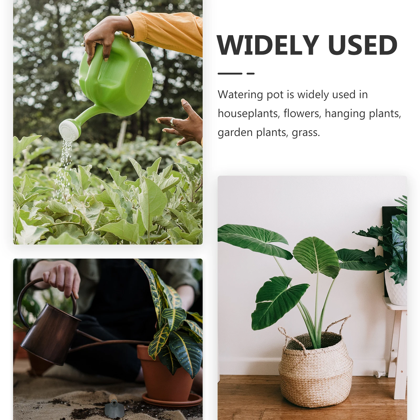 Convenient Watering Pot Ergonomic Handle Stainless Steel Watering Can for Plants
Convenient Watering Pot Ergonomic Handle Stainless Steel Watering Can for Plants