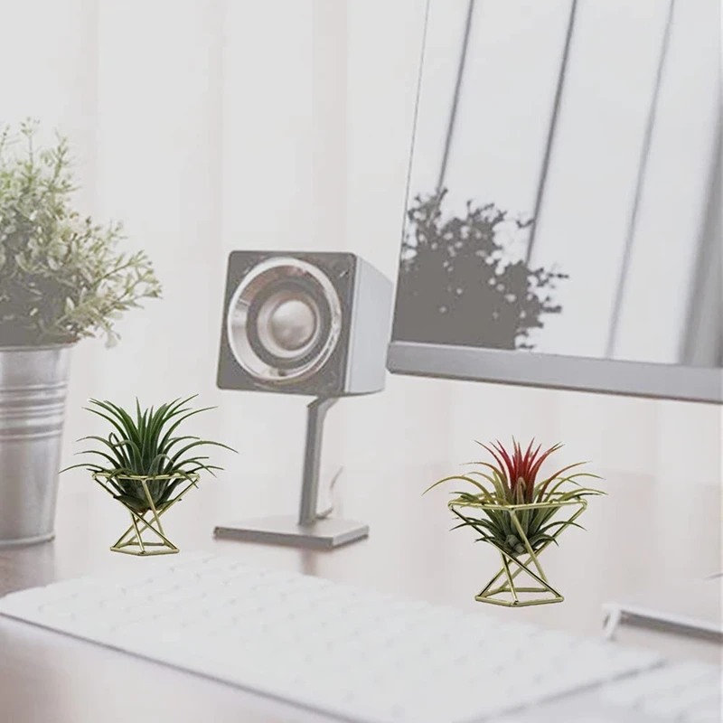 3 Pcs Geometric Air Plant Holder Airplants Rack Metal Plants Stand Planter Shelves Himmeli Decor Tillandsia Containers
3 Pcs Geometric Air Plant Holder Airplants Rack Metal Plants Stand Planter Shelves Himmeli Decor Tillandsia Containers