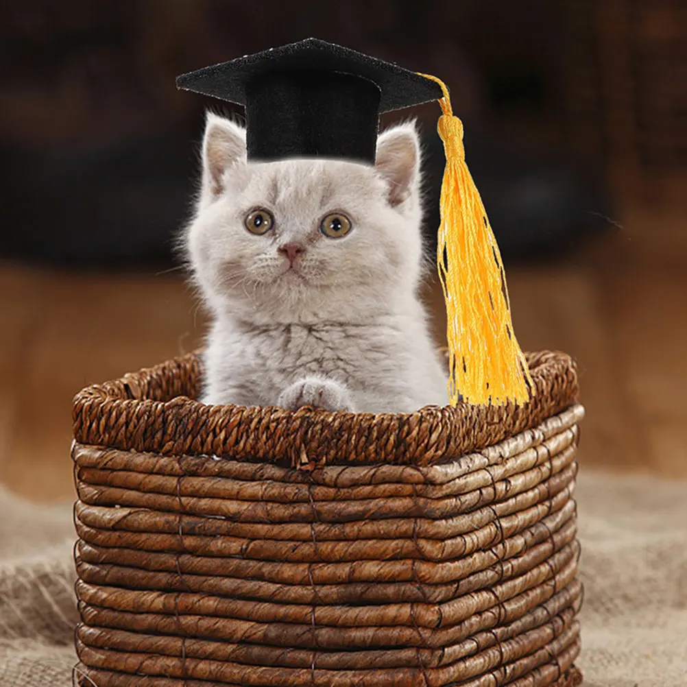 4Pcs Adorable Pet Graduation Hat with Tassel Dog Cat Puppy Kitten Mini Graduation Cap Comfortable Skin Friendly Polyester
4Pcs Adorable Pet Graduation Hat with Tassel Dog Cat Puppy Kitten Mini Graduation Cap Comfortable Skin Friendly Polyester