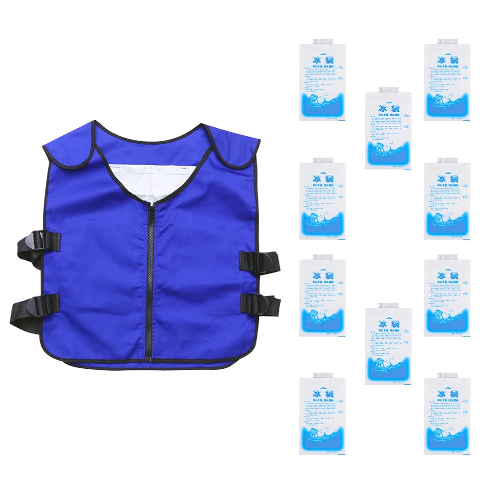 1Set Summer Cooling Vest for Outdoor Use Breathable Ice Vest Men's Comfortable Cooling Wear Blue Ice Waistcoat
1Set Summer Cooling Vest for Outdoor Use Breathable Ice Vest Men's Comfortable Cooling Wear Blue Ice Waistcoat