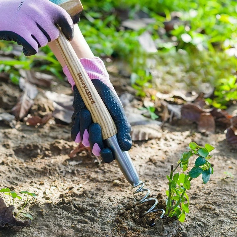 Gardening Forest Seedling Transplanting Planting Flower Growing Tools Outdoor Garden Weed Removal
Gardening Forest Seedling Transplanting Planting Flower Growing Tools Outdoor Garden Weed Removal
