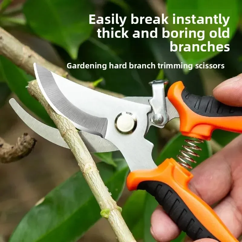 Обрезка, экономия труда, обрезка, сбор из нержавеющей стали, многофункциональные ножницы для фруктов, садовые ножницы, форма клюва птицы, ветка
Обрезка, экономия труда, обрезка, сбор из нержавеющей стали, многофункциональные ножницы для фруктов, садовые ножницы, форма клюва птицы, ветка