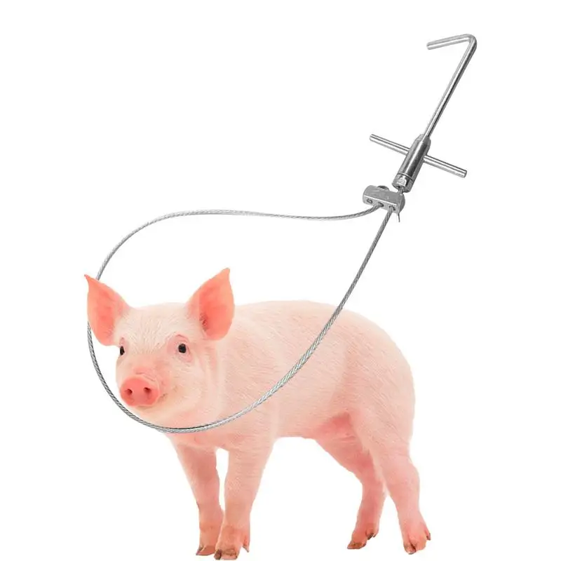 Stainless Wire Livestock Holder 31.5 Inch Animal Control Pole Heavy Duty Stainless Steel Livestock Catcher Pole Steel Wire For
Stainless Wire Livestock Holder 31.5 Inch Animal Control Pole Heavy Duty Stainless Steel Livestock Catcher Pole Steel Wire For