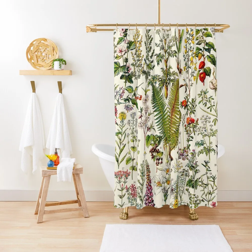 Adolphe Millot - Plantes Medicinales 02 - Vintage french botanical illustration Shower Curtain For Bathroom Anime Shower Curtain
Adolphe Millot - Plantes Medicinales 02 - Vintage french botanical illustration Shower Curtain For Bathroom Anime Shower Curtain