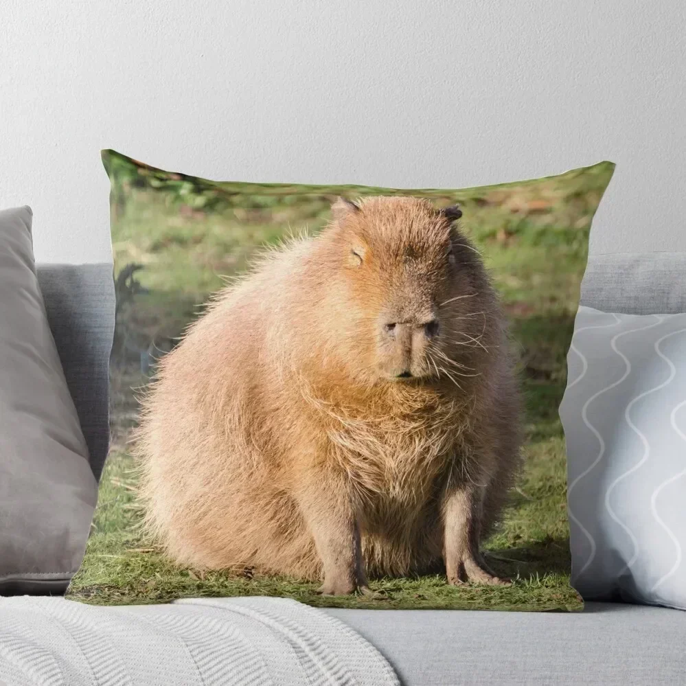 Capybara stare Throw Pillow Sofas Covers Ornamental Pillow christmas ornaments 2025 Christmas Covers pillow
Capybara stare Throw Pillow Sofas Covers Ornamental Pillow christmas ornaments 2025 Christmas Covers pillow