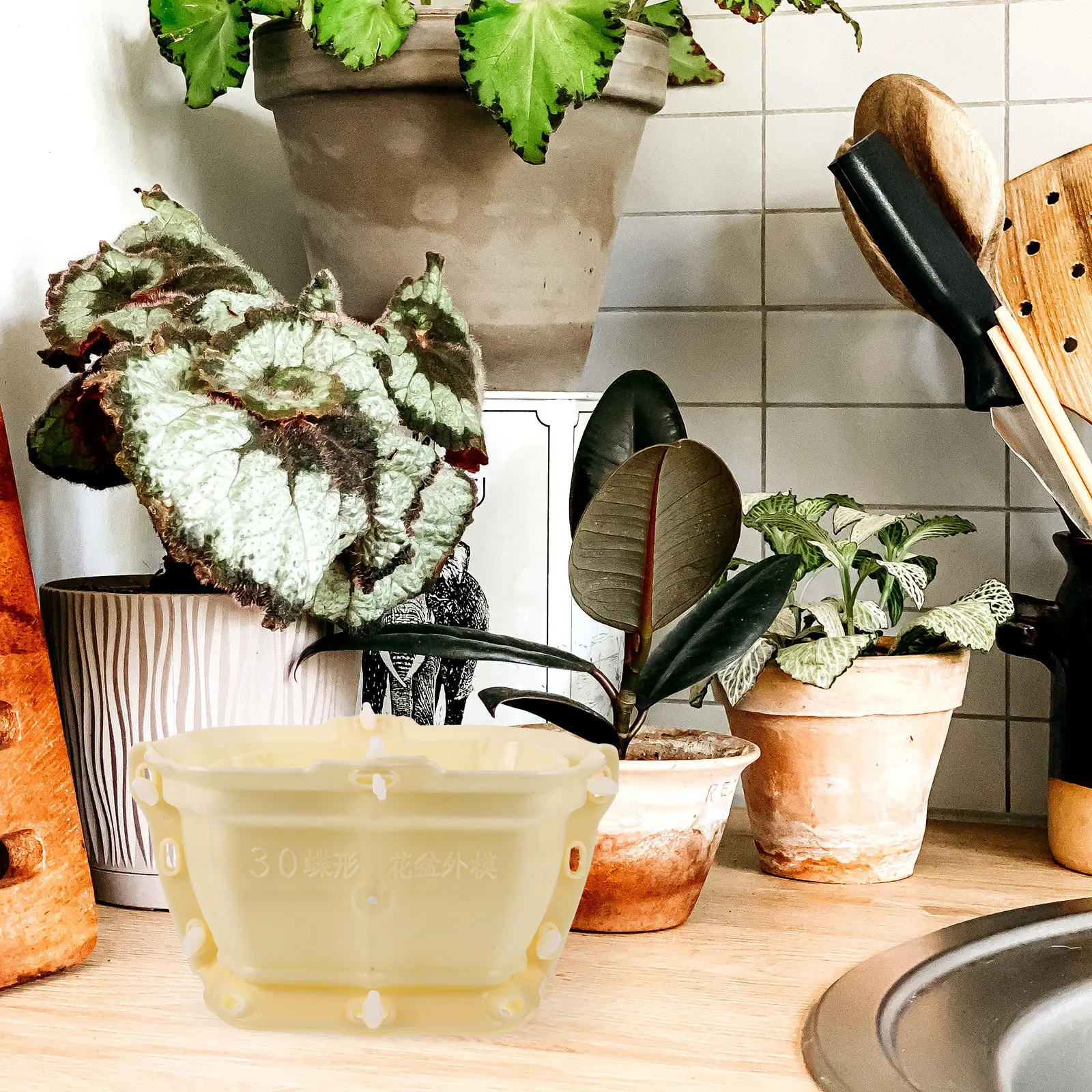 30 Butterfly Shaped Plastic Flower Pot Molds Concrete Cement DIY Planter Making Decorative Planters Bonsai Starter Mold Epoxy
30 Butterfly Shaped Plastic Flower Pot Molds Concrete Cement DIY Planter Making Decorative Planters Bonsai Starter Mold Epoxy