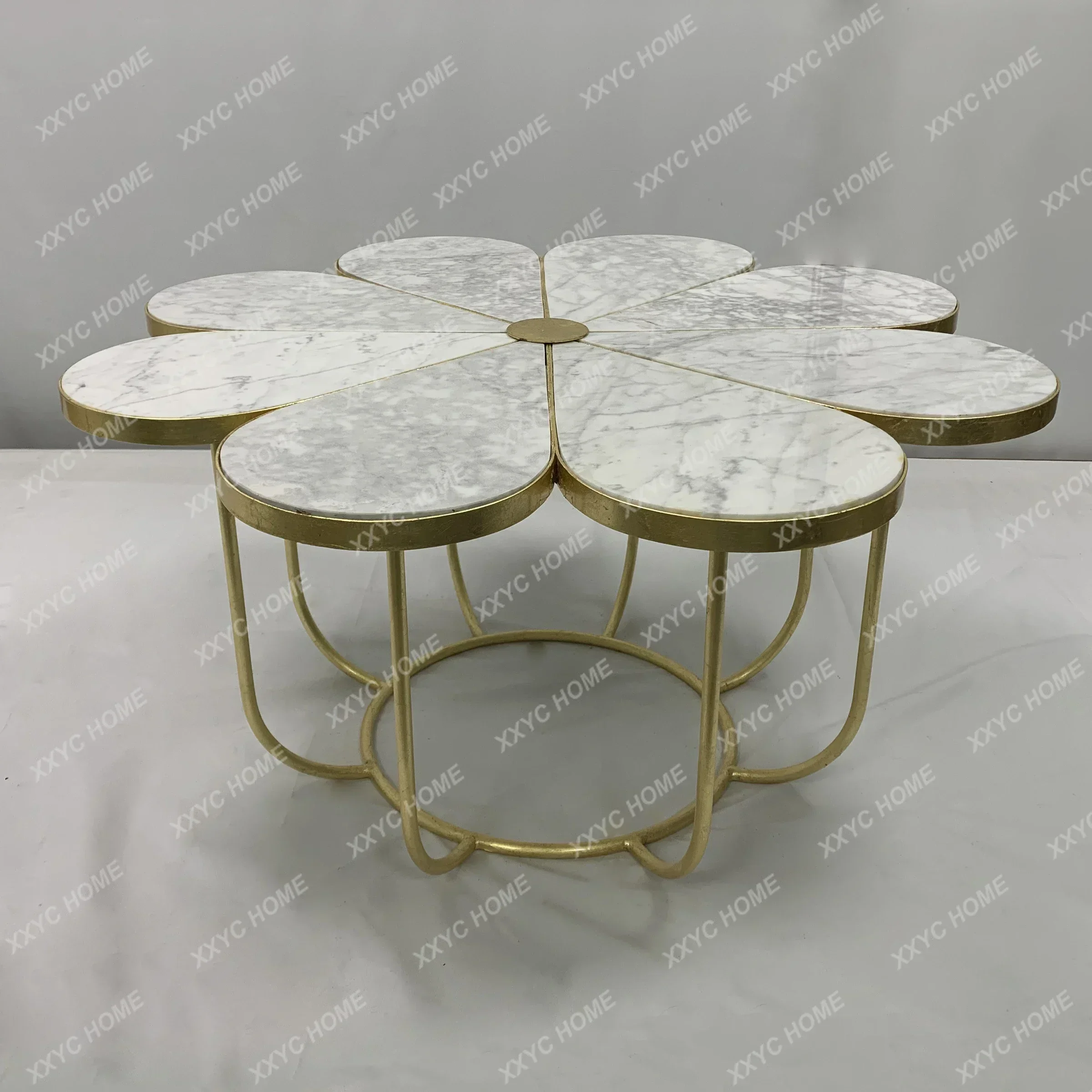 AALight Luxury Living Room Retro Model Room Petal Marble Desktop Complete Metal Craft Coffee Table
AALight Luxury Living Room Retro Model Room Petal Marble Desktop Complete Metal Craft Coffee Table