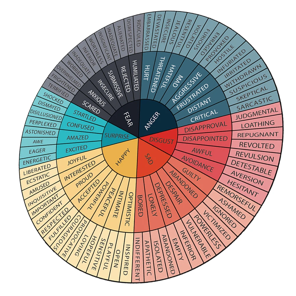 Educational Decorative Stickers Feeling Wheel Emotion Chart Kids Therapy Office Mental Health Growth Poster Wall
Educational Decorative Stickers Feeling Wheel Emotion Chart Kids Therapy Office Mental Health Growth Poster Wall
