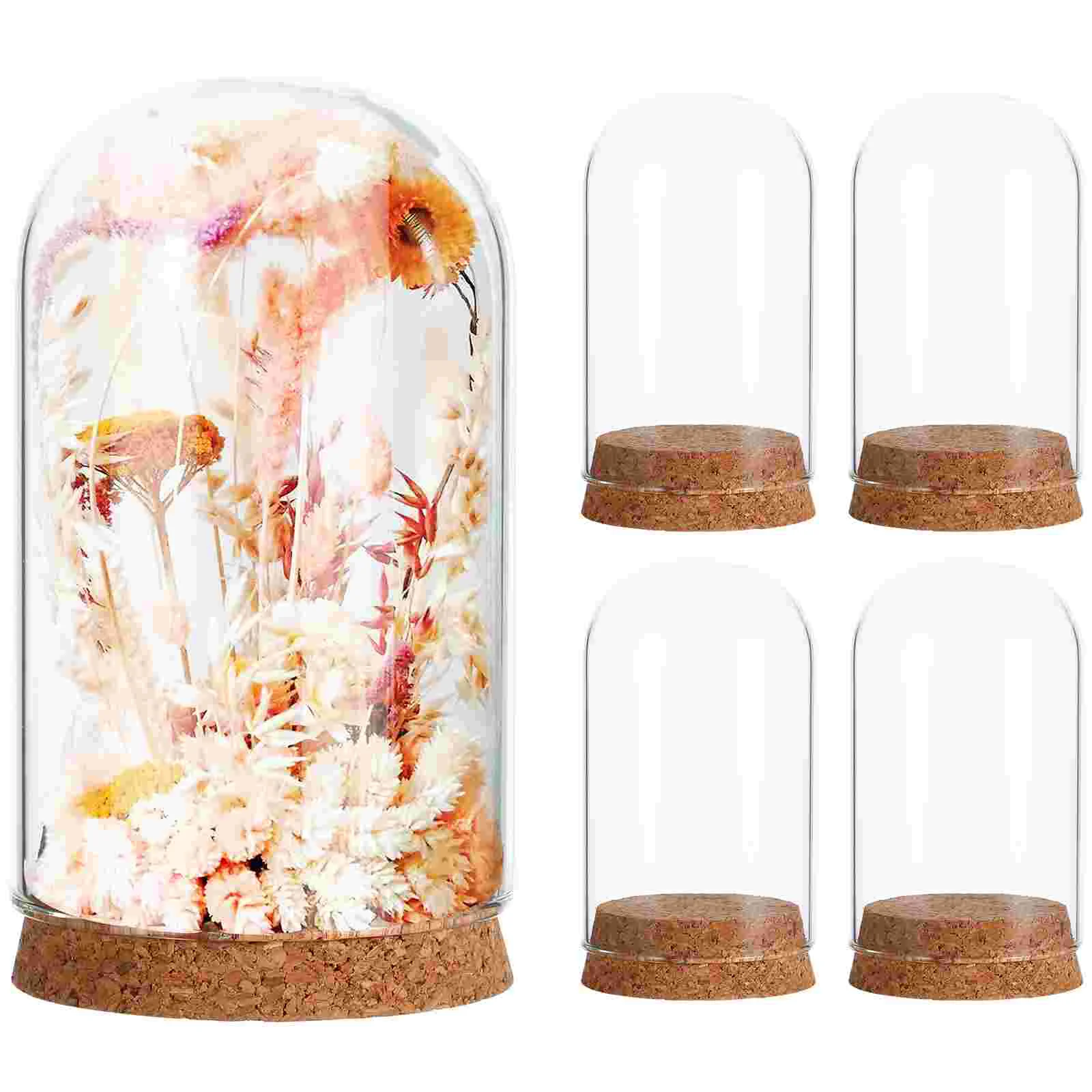 5 Pcs Decorative Showcase Display Cork Glass Cover Lantern Bell Jar Stand Dome Figurine
5 Pcs Decorative Showcase Display Cork Glass Cover Lantern Bell Jar Stand Dome Figurine