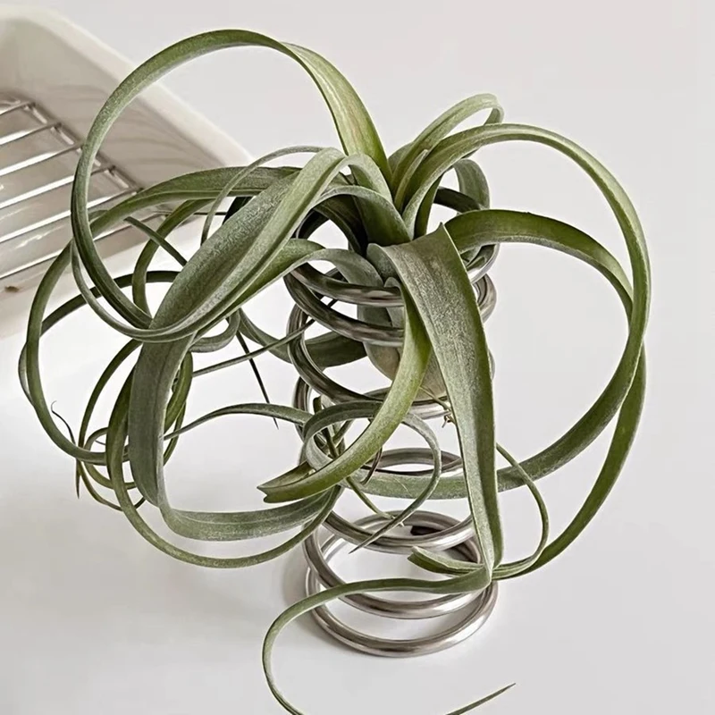 Подставка для зубных щеток, органайзер для ванной комнаты, для зубной пасты, косметических кистей, декоративная полка B
Подставка для зубных щеток, органайзер для ванной комнаты, для зубной пасты, косметических кистей, декоративная полка B