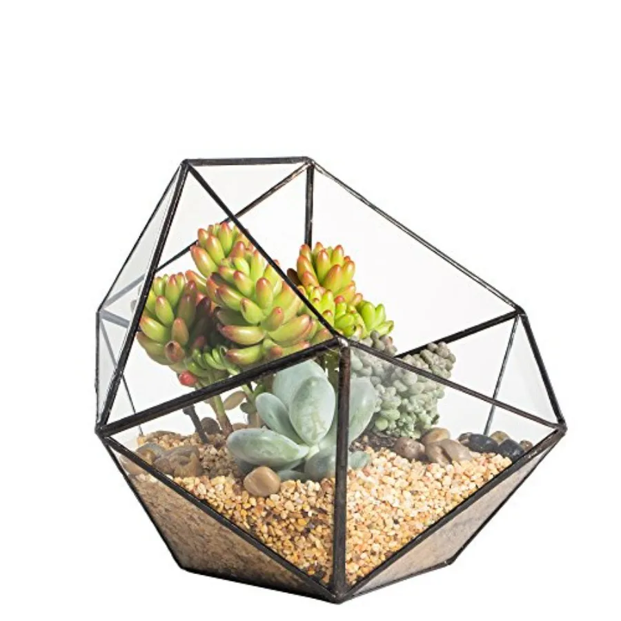 Opened Geometric Glass Terrarium, 6.69" Bowl Shape Planter for Succulent Plant Cacti, Indoor Balcony Irregular Decor, Garden Mi
Opened Geometric Glass Terrarium, 6.69" Bowl Shape Planter for Succulent Plant Cacti, Indoor Balcony Irregular Decor, Garden Mi