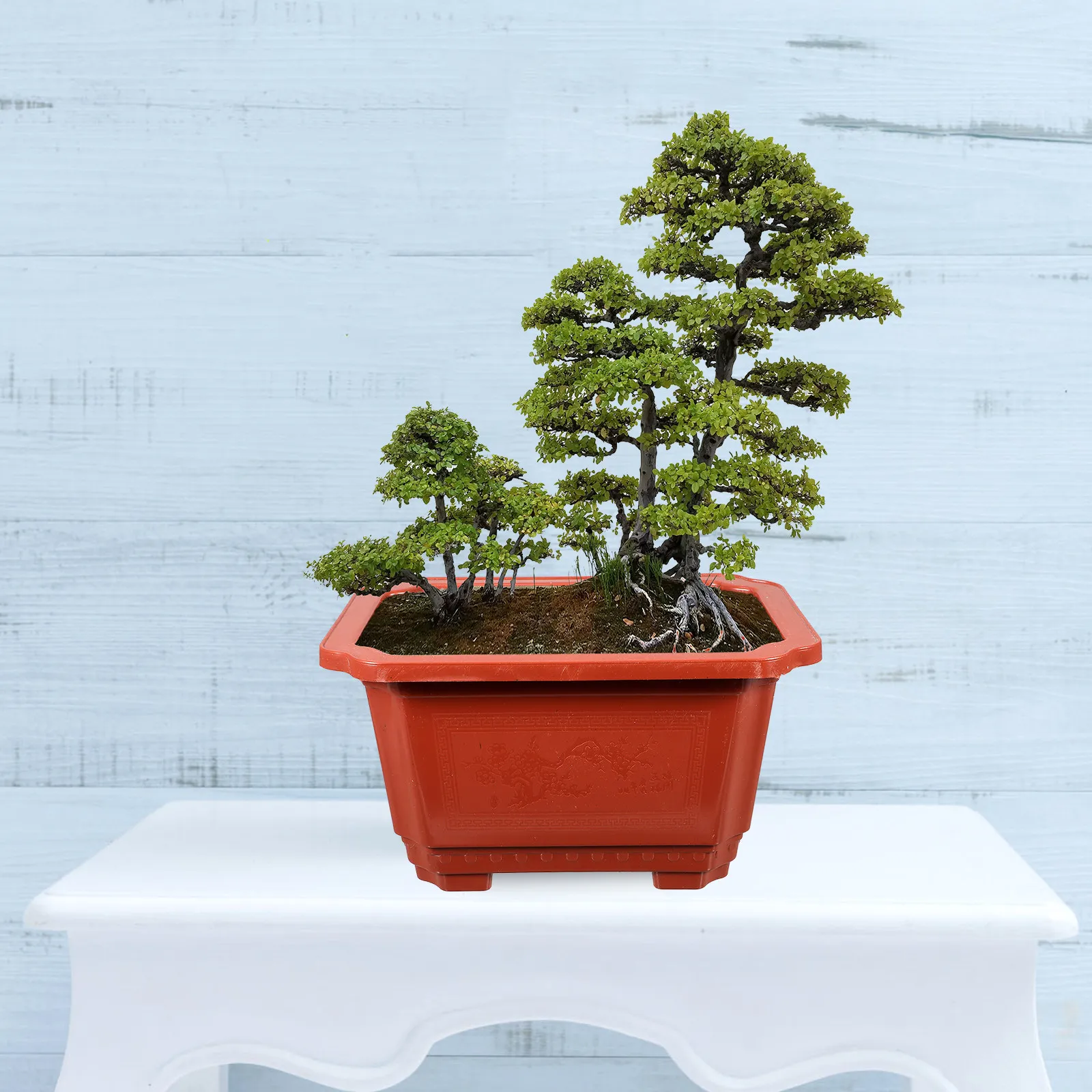 10 шт. Прочные прямоугольные пластиковые горшки для бонсай и суккулентов, утолщенные, для комнатных и уличных растений, для сада
10 шт. Прочные прямоугольные пластиковые горшки для бонсай и суккулентов, утолщенные, для комнатных и уличных растений, для сада