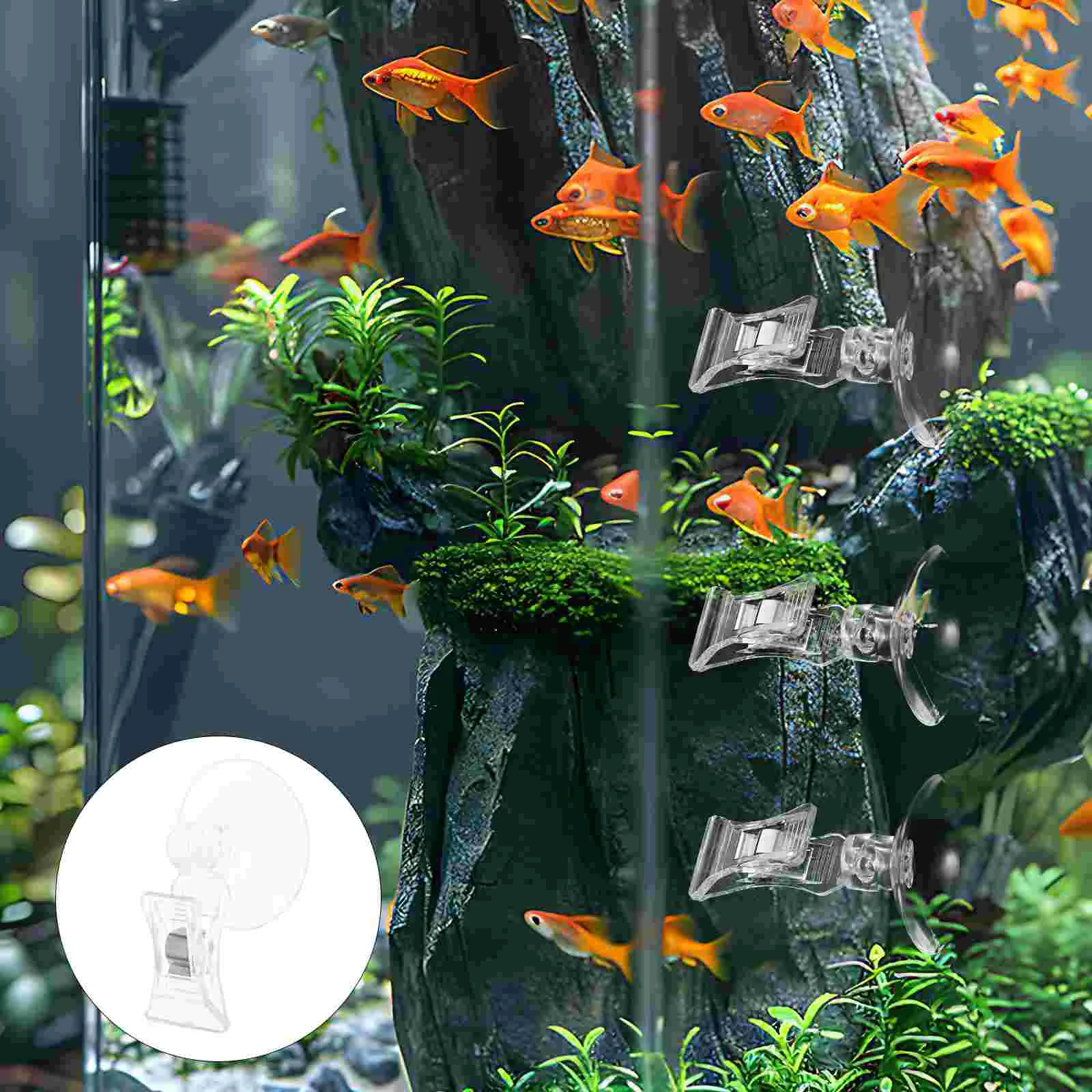 3 Pcs Seaweed Cup Clip Fish Tank Feeding Tool Aquarium Accessories Veggie Holder Wall Mount Easy Use Prolonged Feeding
3 Pcs Seaweed Cup Clip Fish Tank Feeding Tool Aquarium Accessories Veggie Holder Wall Mount Easy Use Prolonged Feeding