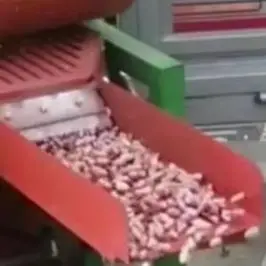 Peanut Sheller Peanut Shelling Machine Peanut Peeling Machine Broken Skin Machine
Peanut Sheller Peanut Shelling Machine Peanut Peeling Machine Broken Skin Machine