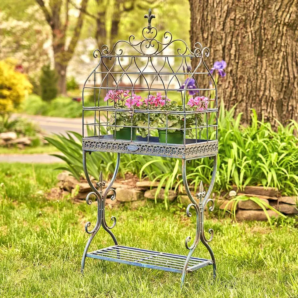 Cobalt Blue Metal Cage Plant Stand with Vintage Paris 1968 Style
Cobalt Blue Metal Cage Plant Stand with Vintage Paris 1968 Style