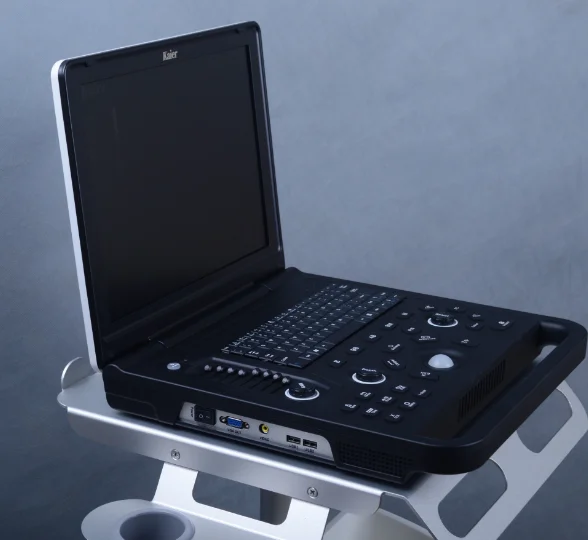 Animal Veterinary Pet Use Laptop Notebook Sonography USG Scanner Diagnostic Echo Machine
Animal Veterinary Pet Use Laptop Notebook Sonography USG Scanner Diagnostic Echo Machine