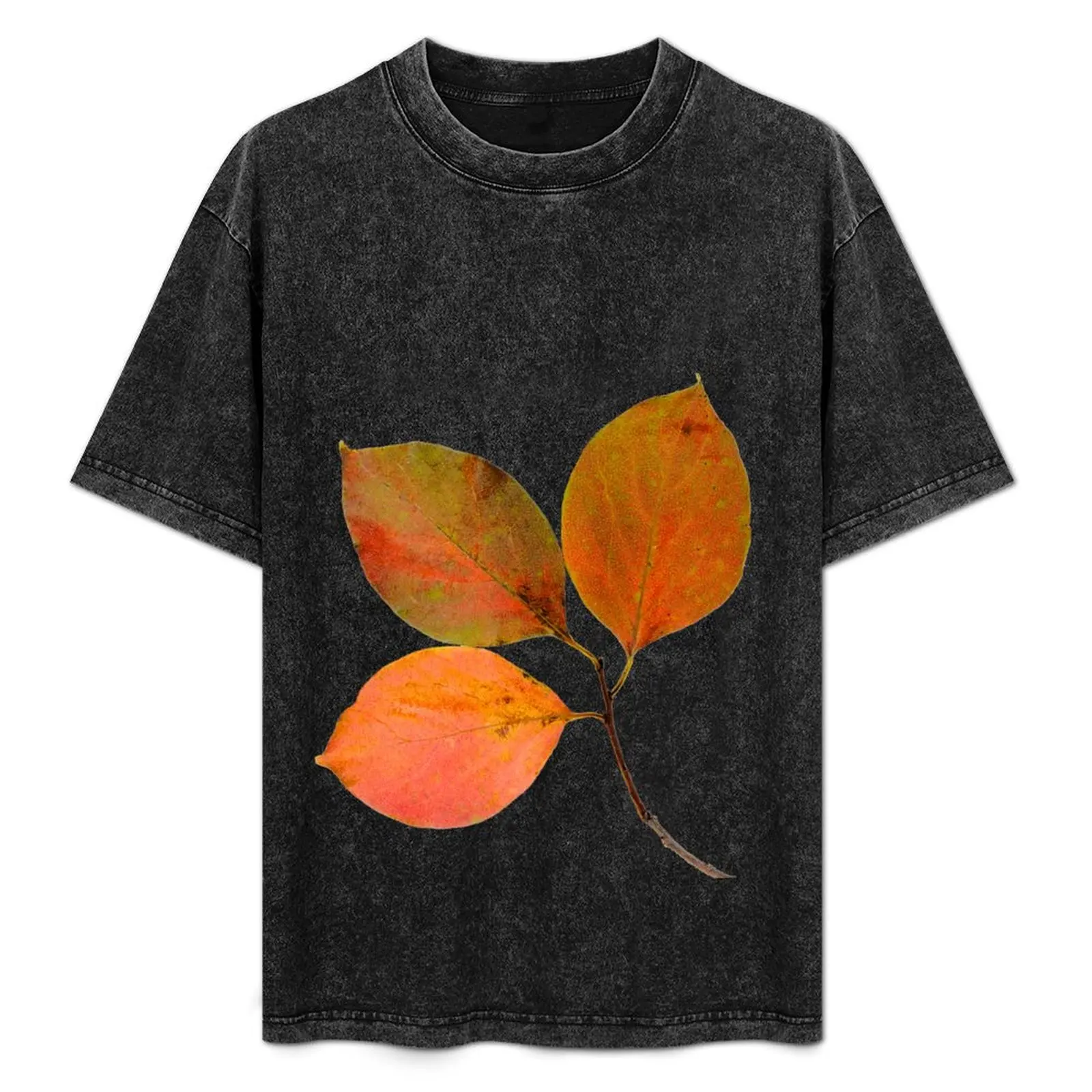 Close-up of Persimmon Leaves in autumn T-Shirt Mechanic Work Tee Shirt
Close-up of Persimmon Leaves in autumn T-Shirt Mechanic Work Tee Shirt