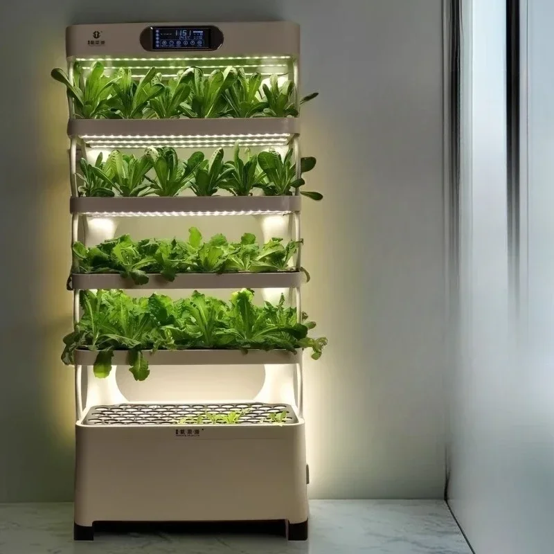 Indoor Home Hydroponic Vegetable Planter - Soilless Cultivation Equipment for Fresh Produce Cultivation
Indoor Home Hydroponic Vegetable Planter - Soilless Cultivation Equipment for Fresh Produce Cultivation