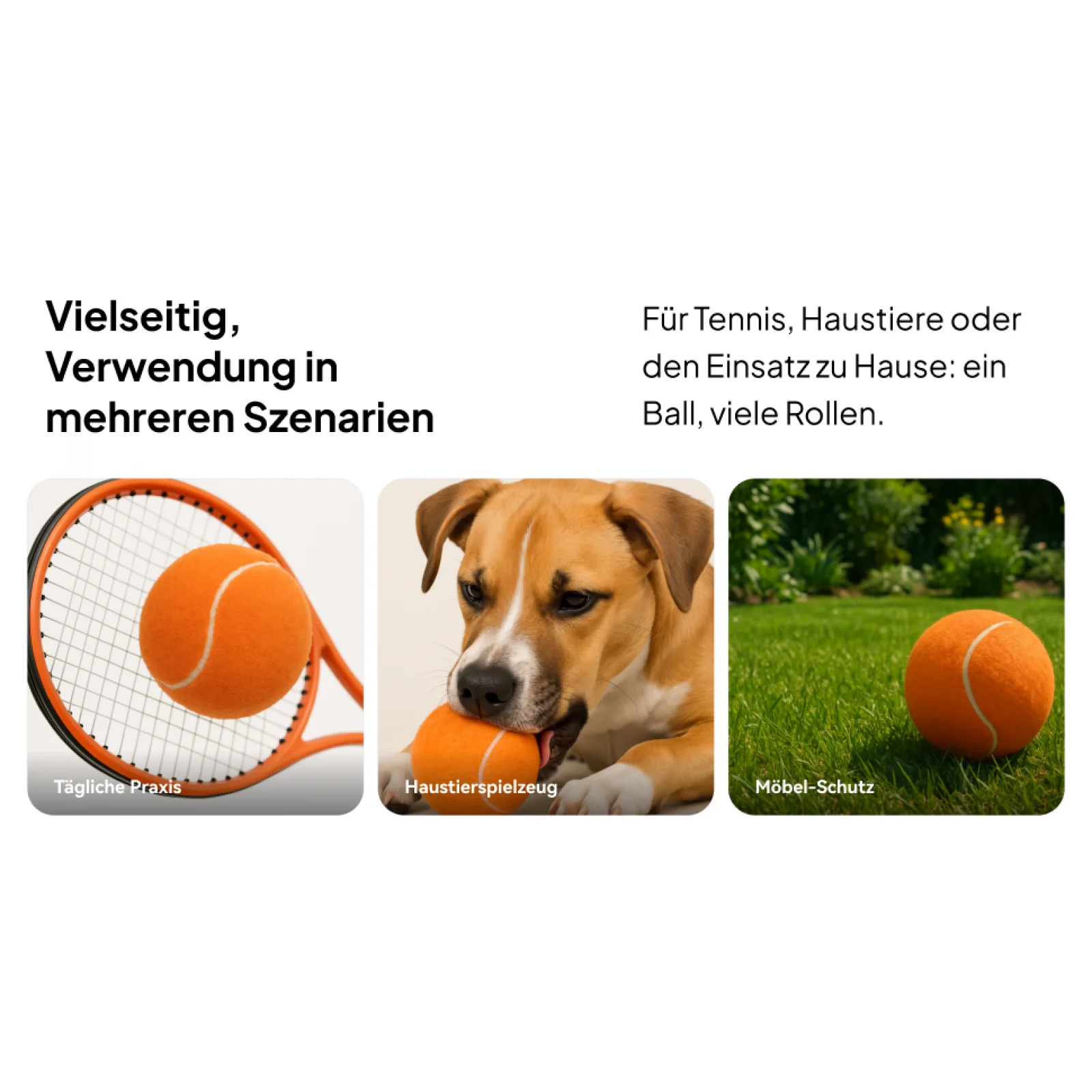 Tennis Training Balls Elastic Durable Practice Set for Tennis Accessories Sports and Pet Workout
Tennis Training Balls Elastic Durable Practice Set for Tennis Accessories Sports and Pet Workout
