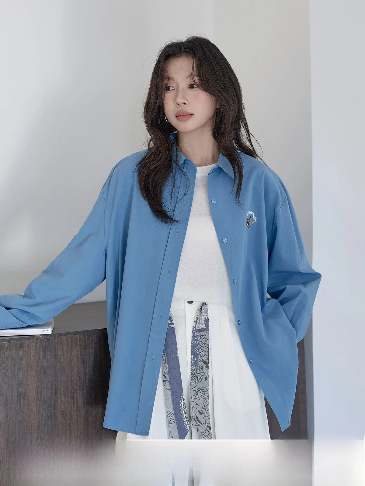 Blue Embroidered Animal Pattern Loose Casual Women's Shirt Spring 2026 New Style Versatile Top HUIXI Fashion Korean Style
Blue Embroidered Animal Pattern Loose Casual Women's Shirt Spring 2026 New Style Versatile Top HUIXI Fashion Korean Style