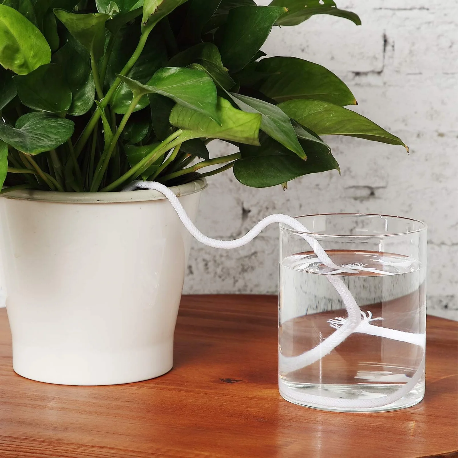 Self Watering Rope Self-Watering System Cord String Cotton Rope for Indoor Outdoor Garden System Device
Self Watering Rope Self-Watering System Cord String Cotton Rope for Indoor Outdoor Garden System Device