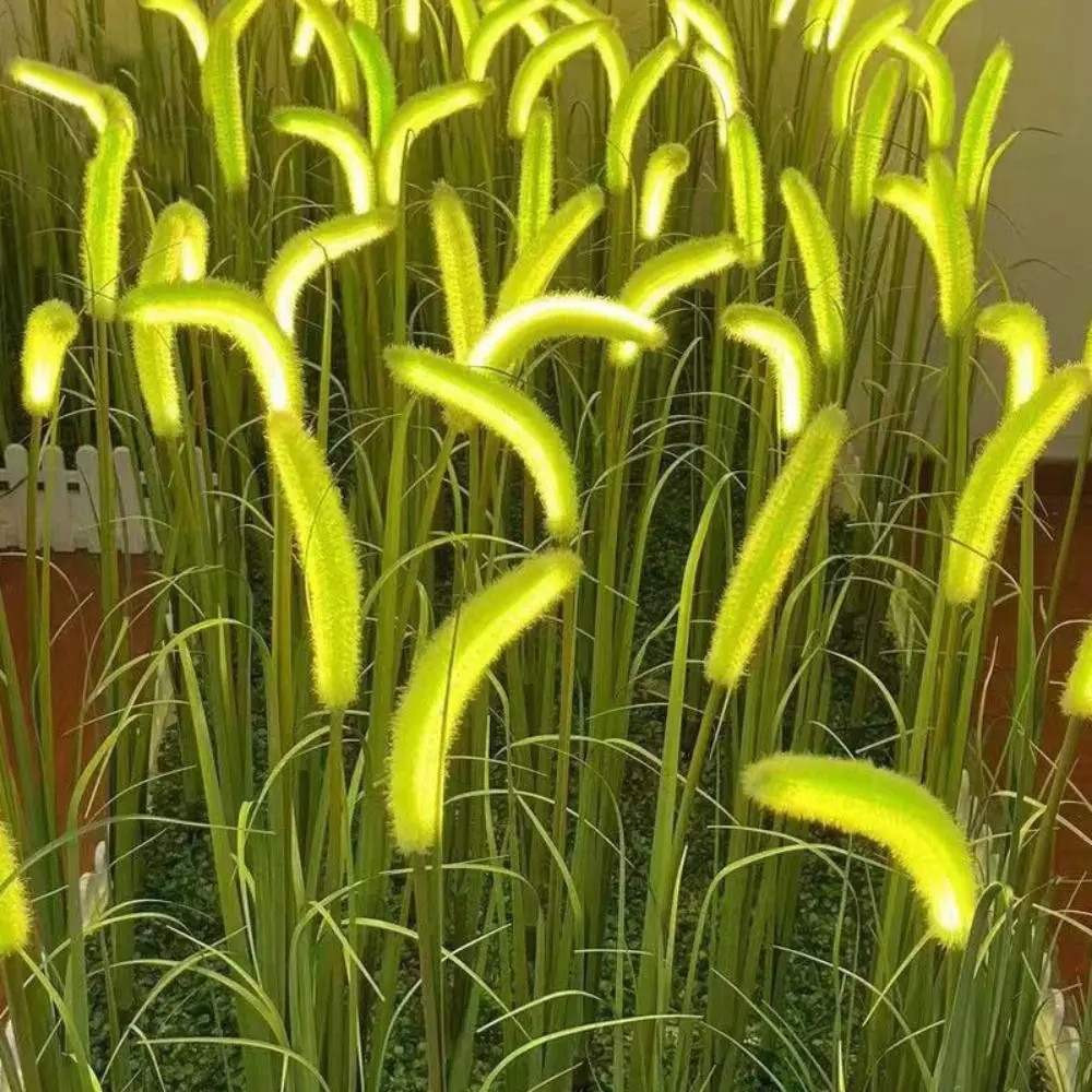 Solar Powered Solar Powered Light LED Light Waterproof Outdoor Light Ground Plug Fiber Optic Dog Tail Grass Lamp Country House
Solar Powered Solar Powered Light LED Light Waterproof Outdoor Light Ground Plug Fiber Optic Dog Tail Grass Lamp Country House