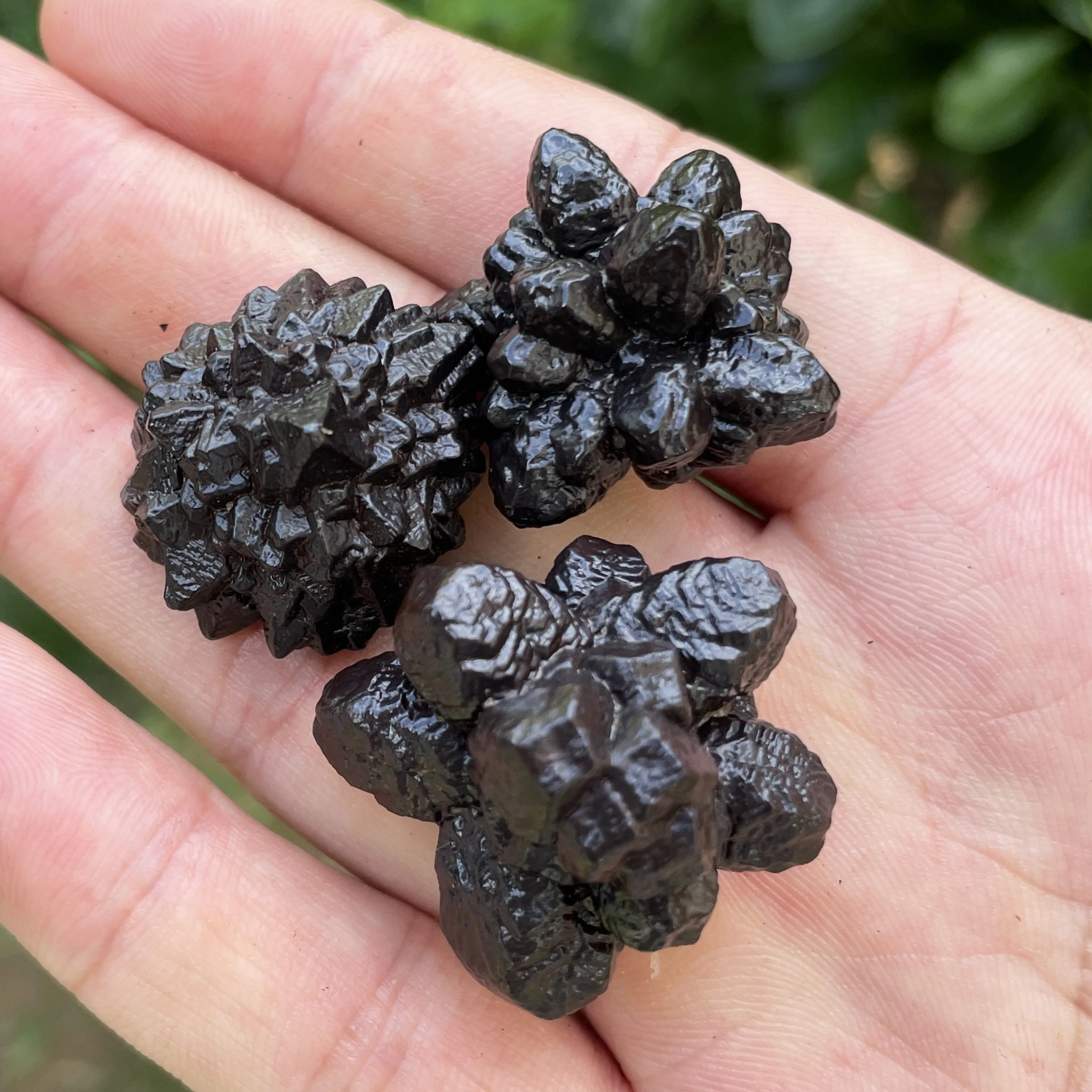 Natural Black Diamond irregular Prophecy Rock Carbonado Crystal Quartz Mineral Ore Healing Stone Home Decor D1-19
Natural Black Diamond irregular Prophecy Rock Carbonado Crystal Quartz Mineral Ore Healing Stone Home Decor D1-19