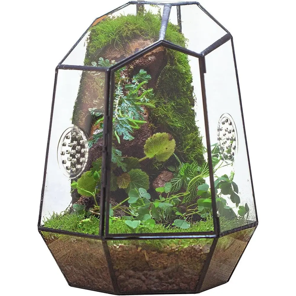 Geometric Glass Enclosure with Front Opening Door & 2 Vent Holes for Insects, Succulent, Cacti - 7.9x6.9x9.8 Black Irregular Ter
Geometric Glass Enclosure with Front Opening Door & 2 Vent Holes for Insects, Succulent, Cacti - 7.9x6.9x9.8 Black Irregular Ter