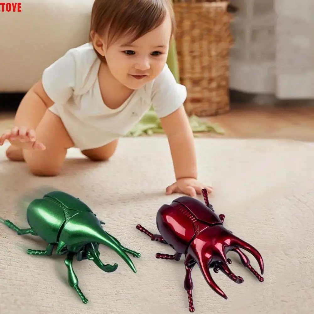 Clockwork Toys Wind-Up Beetle Toy Trick Props Realistic Simulated Beetle Insect Model Education Science
Clockwork Toys Wind-Up Beetle Toy Trick Props Realistic Simulated Beetle Insect Model Education Science
