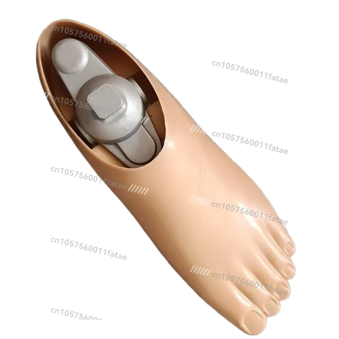 Single hole and double hole prosthetic foot plate, prosthetic accessories 
Single hole and double hole prosthetic foot plate, prosthetic accessories