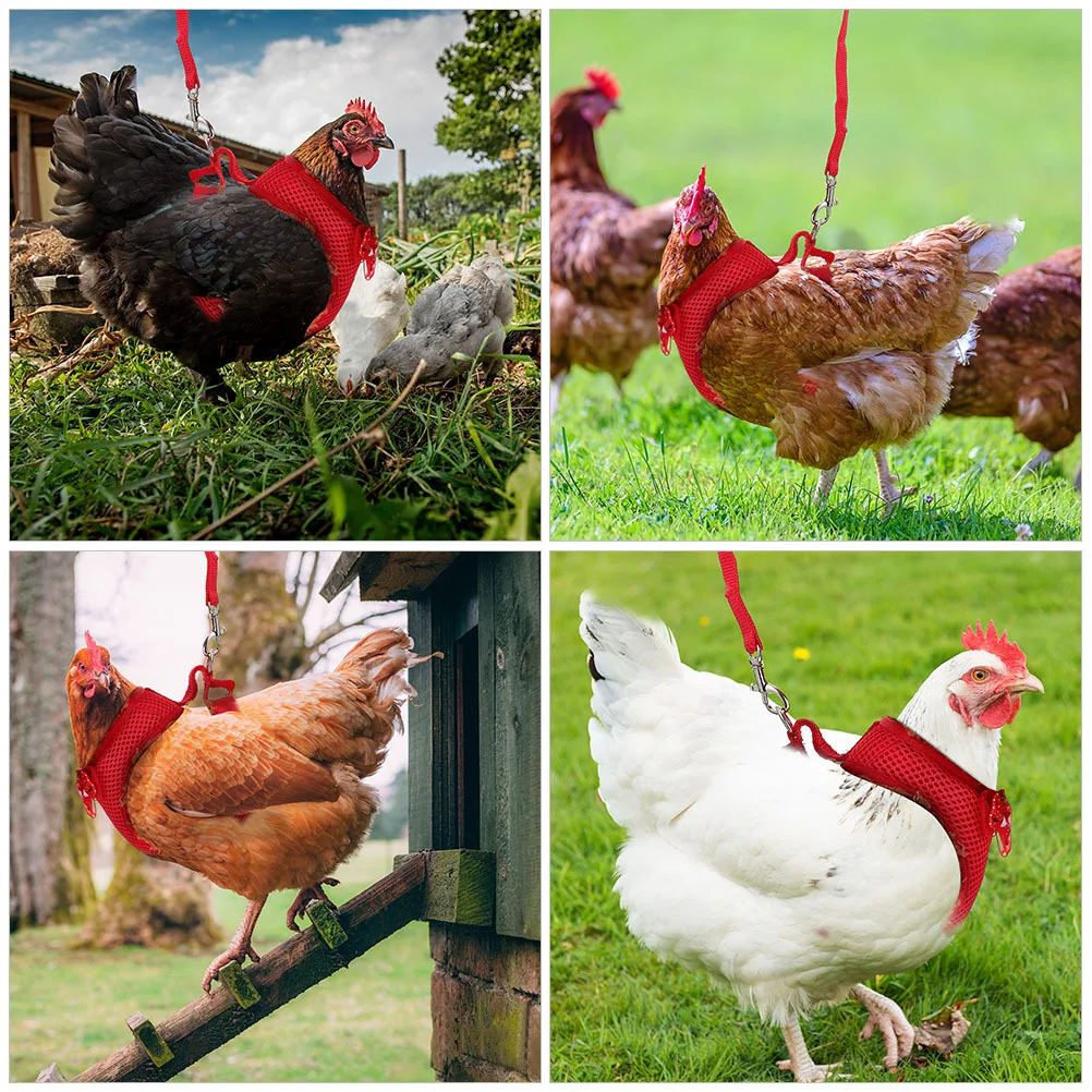 2 set Pet Chicken Harness Adjustable Rooster Harness Leash For Outdoor Walking Running Durable Traction Rope Hen Safety Control
2 set Pet Chicken Harness Adjustable Rooster Harness Leash For Outdoor Walking Running Durable Traction Rope Hen Safety Control