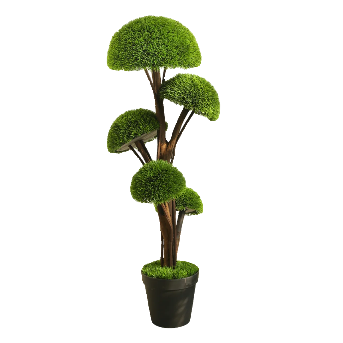 Simulation green plant bonsai mushroom tree office interior decoration hotel lobby ornament simulation fake landscape
Simulation green plant bonsai mushroom tree office interior decoration hotel lobby ornament simulation fake landscape