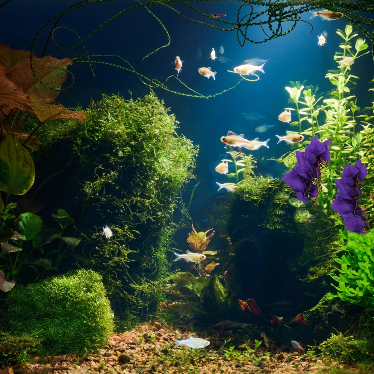 Artificial Decoration Creeper Vine 30cm Purple Lifelike Resin Easy Pet Nest Home Wedding Party plastic leaf
Artificial Decoration Creeper Vine 30cm Purple Lifelike Resin Easy Pet Nest Home Wedding Party plastic leaf