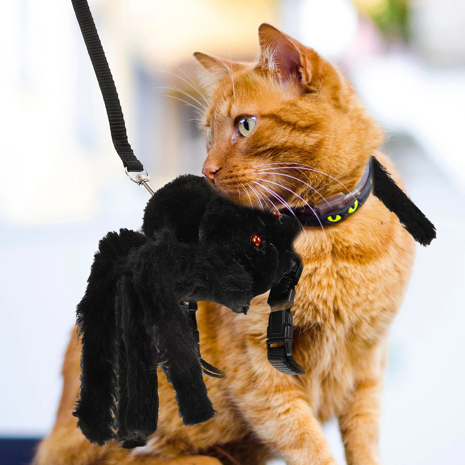Harness Leash Pet Training Lead Hauling Cable Cat The Dog Black Puppy Tarining Band
Harness Leash Pet Training Lead Hauling Cable Cat The Dog Black Puppy Tarining Band