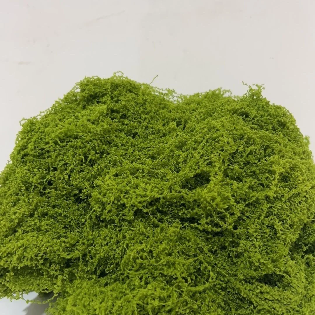 24.5g Fake Moss Artificial Green Moss for Potted Plants Fairy Garden Accessories Home Garden Lawn Floor Ornament Landscape Decor
24.5g Fake Moss Artificial Green Moss for Potted Plants Fairy Garden Accessories Home Garden Lawn Floor Ornament Landscape Decor