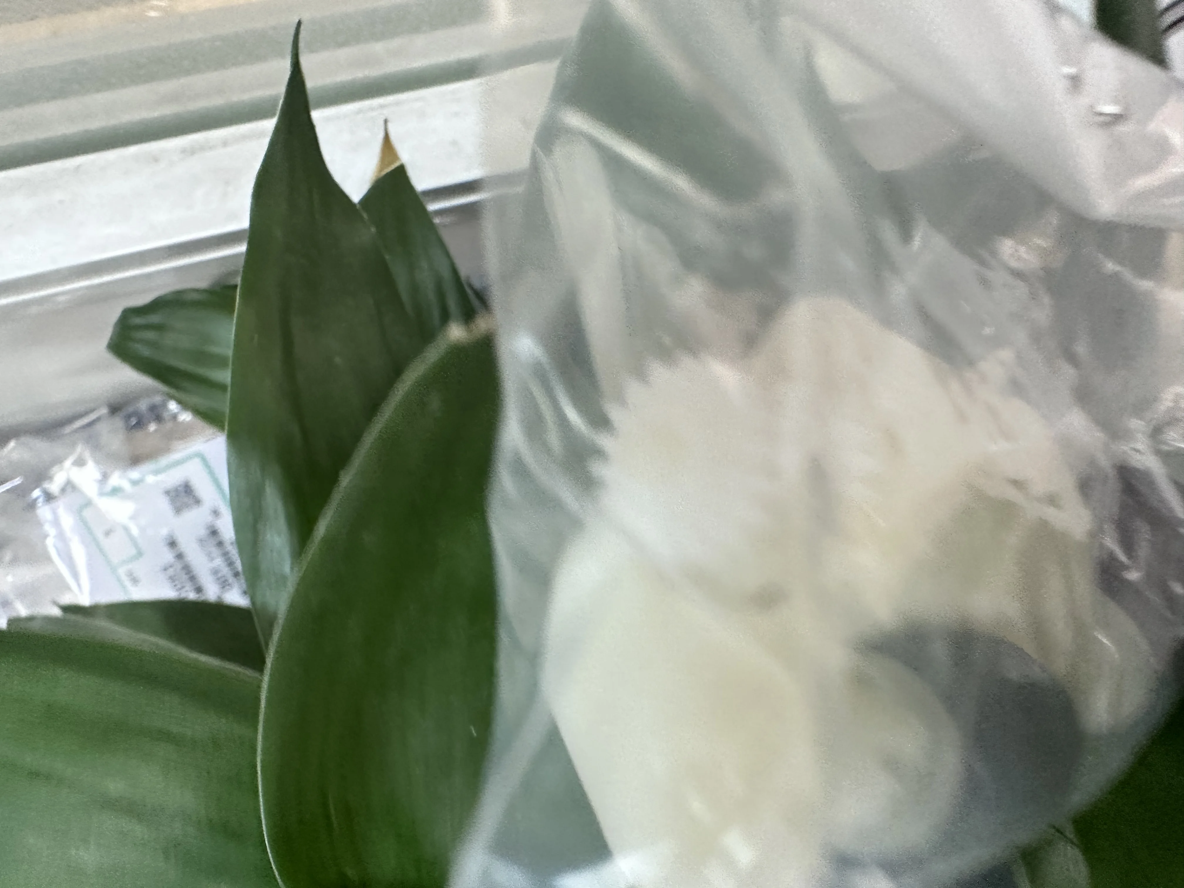 5X комплект ролика захвата ADF для EPSON L5190 L5198 L5290 L5298 L6170 L6190 L6178 L6198 L6176 L6167 L6290 L6298 L6490 L6498 L14150
5X комплект ролика захвата ADF для EPSON L5190 L5198 L5290 L5298 L6170 L6190 L6178 L6198 L6176 L6167 L6290 L6298 L6490 L6498 L14150