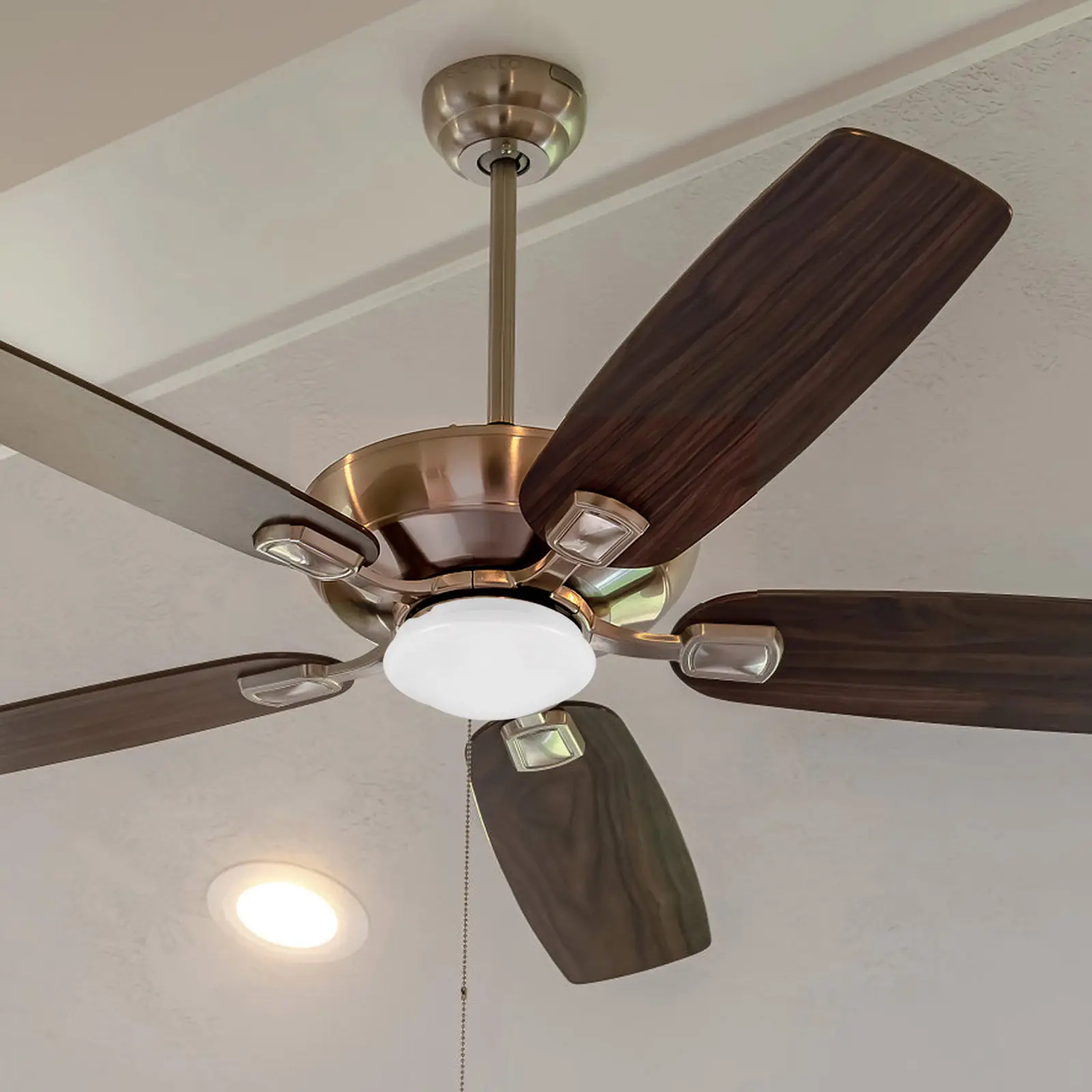 Frosted Acrylic Ceiling Fan Lamp Shade Replacement Mushroom Cover 7.86 Inch Od Ceiling Fan Light Shade Replacement for Bedroom
Frosted Acrylic Ceiling Fan Lamp Shade Replacement Mushroom Cover 7.86 Inch Od Ceiling Fan Light Shade Replacement for Bedroom