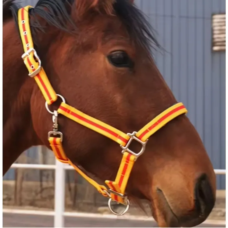 Padded Horse Halter Adjustable Chin Throat Strap Durable Rope Anti-rub Equine Headcollar Snap Design Horses Riding Training Gear
Padded Horse Halter Adjustable Chin Throat Strap Durable Rope Anti-rub Equine Headcollar Snap Design Horses Riding Training Gear