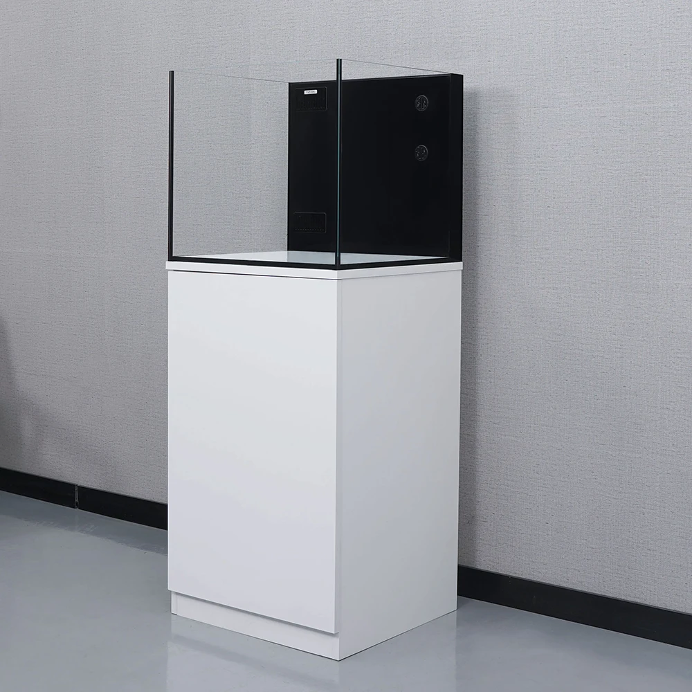 60cm 50 Gallon 10mm Thickness Glass Saltwater Aquarium Fish Tank with Stand All in One
60cm 50 Gallon 10mm Thickness Glass Saltwater Aquarium Fish Tank with Stand All in One