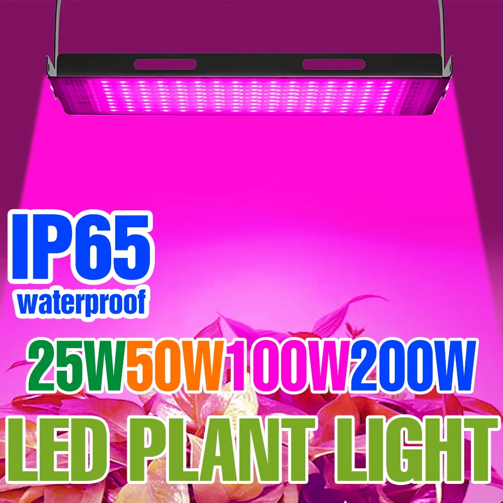 200W Full Spectrum LED Plant Grow Light 220V Indoor Succulent Seedling Cultivate Lamps Greenhouse Tent Vegs Fruits Fill Lighting
200W Full Spectrum LED Plant Grow Light 220V Indoor Succulent Seedling Cultivate Lamps Greenhouse Tent Vegs Fruits Fill Lighting