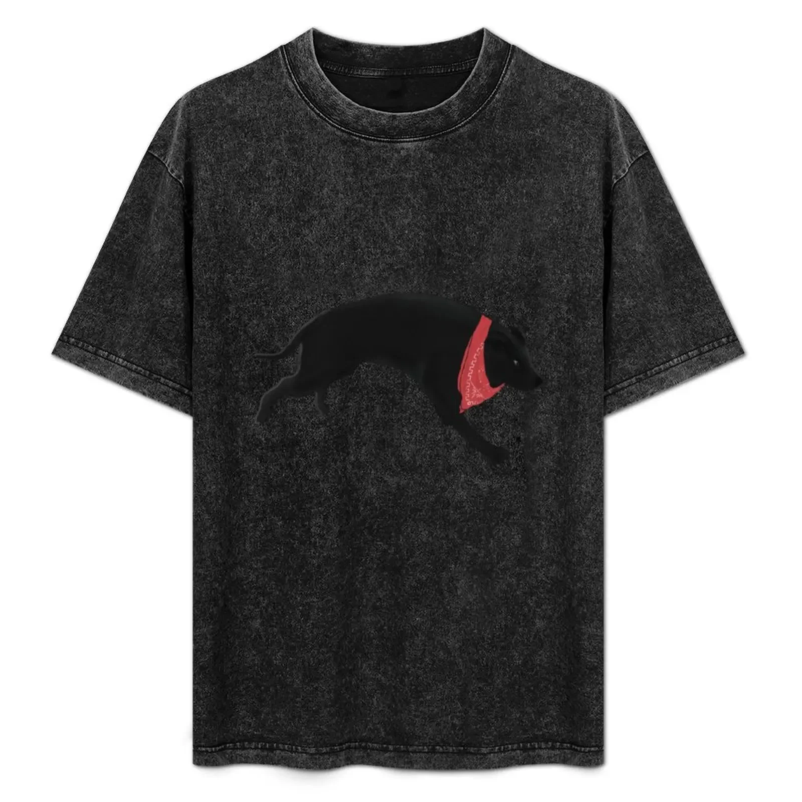 Matapacos Black T-Shirt Standard Fit Solid Tee Shirt
Matapacos Black T-Shirt Standard Fit Solid Tee Shirt