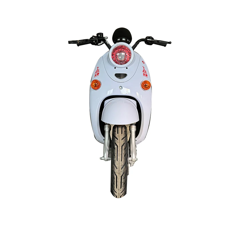 Hot Sale Factory Low Price Electric Scooter City Ladies 1200W Moped Adult
Hot Sale Factory Low Price Electric Scooter City Ladies 1200W Moped Adult