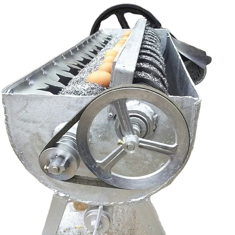 Automatic Hen Egg Cleaner Equipment/duck Egg Washing Machine/egg Cleaning Machine for Processing Egg
Automatic Hen Egg Cleaner Equipment/duck Egg Washing Machine/egg Cleaning Machine for Processing Egg