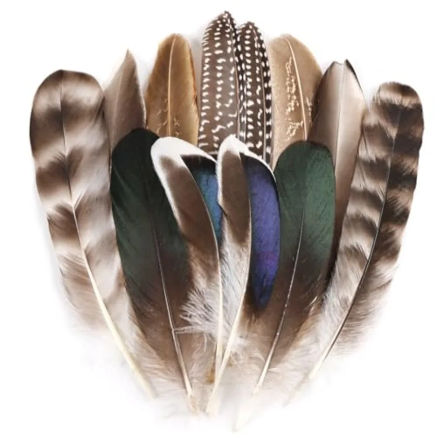 MehelloFeather Natural Pheasant Feathers 12Pcs Bulk Feathers 6 Style for DIY Crafts Hat Floral Arrangements Halloween Decoratio
MehelloFeather Natural Pheasant Feathers 12Pcs Bulk Feathers 6 Style for DIY Crafts Hat Floral Arrangements Halloween Decoratio