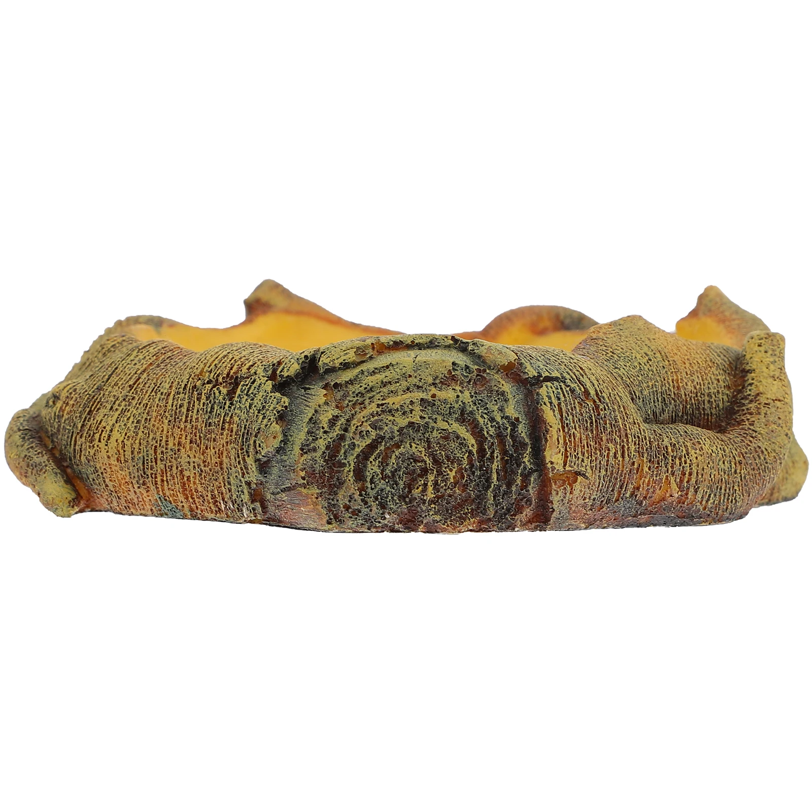 Imitation Wood Grain Water Basin Large Capacity Feeding Dish Reptile Tank Accessories Chameleon Turtle Lizard Pet Bowls
Imitation Wood Grain Water Basin Large Capacity Feeding Dish Reptile Tank Accessories Chameleon Turtle Lizard Pet Bowls