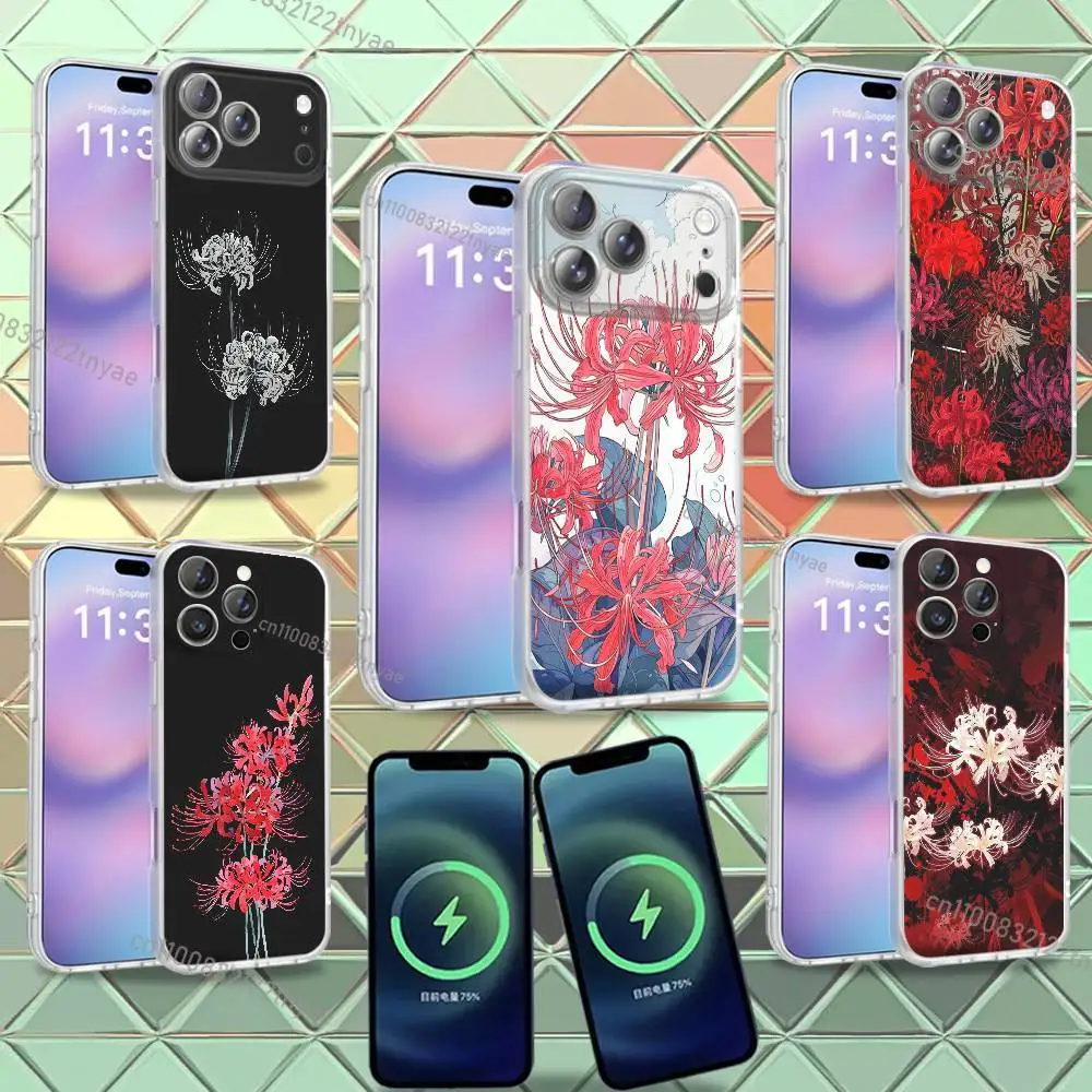 Beautiful spider lily Phone Case For iPhone 16,14,11,17,13,15,12,Air,Plus,Pro,Max,E,Mini Frosted for MagSafe Magnetic Wireless
Beautiful spider lily Phone Case For iPhone 16,14,11,17,13,15,12,Air,Plus,Pro,Max,E,Mini Frosted for MagSafe Magnetic Wireless