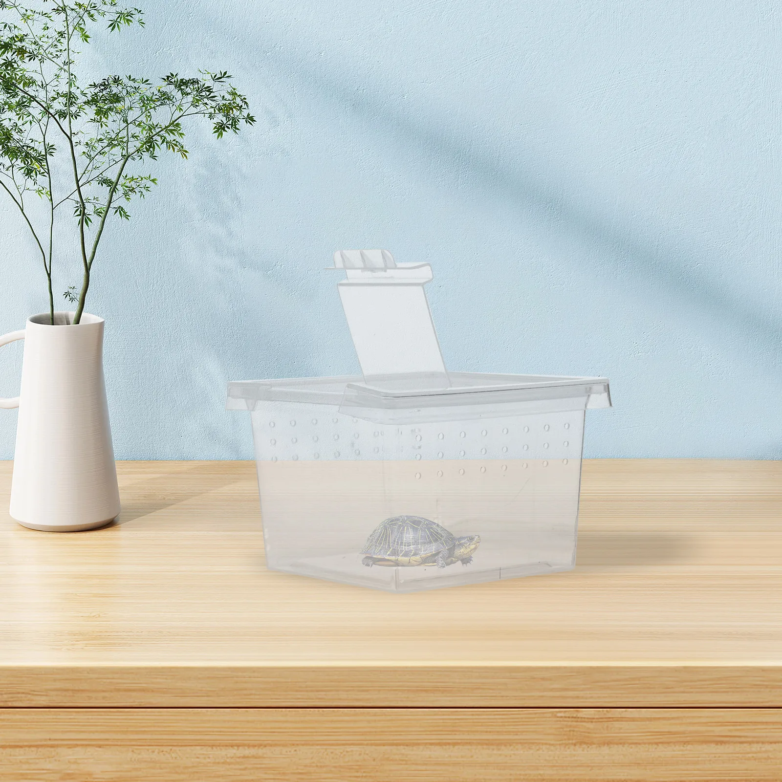 20 Pcs Small Square Box Observation Feeding Cage for Spider Plastic Reptile Container
20 Pcs Small Square Box Observation Feeding Cage for Spider Plastic Reptile Container
