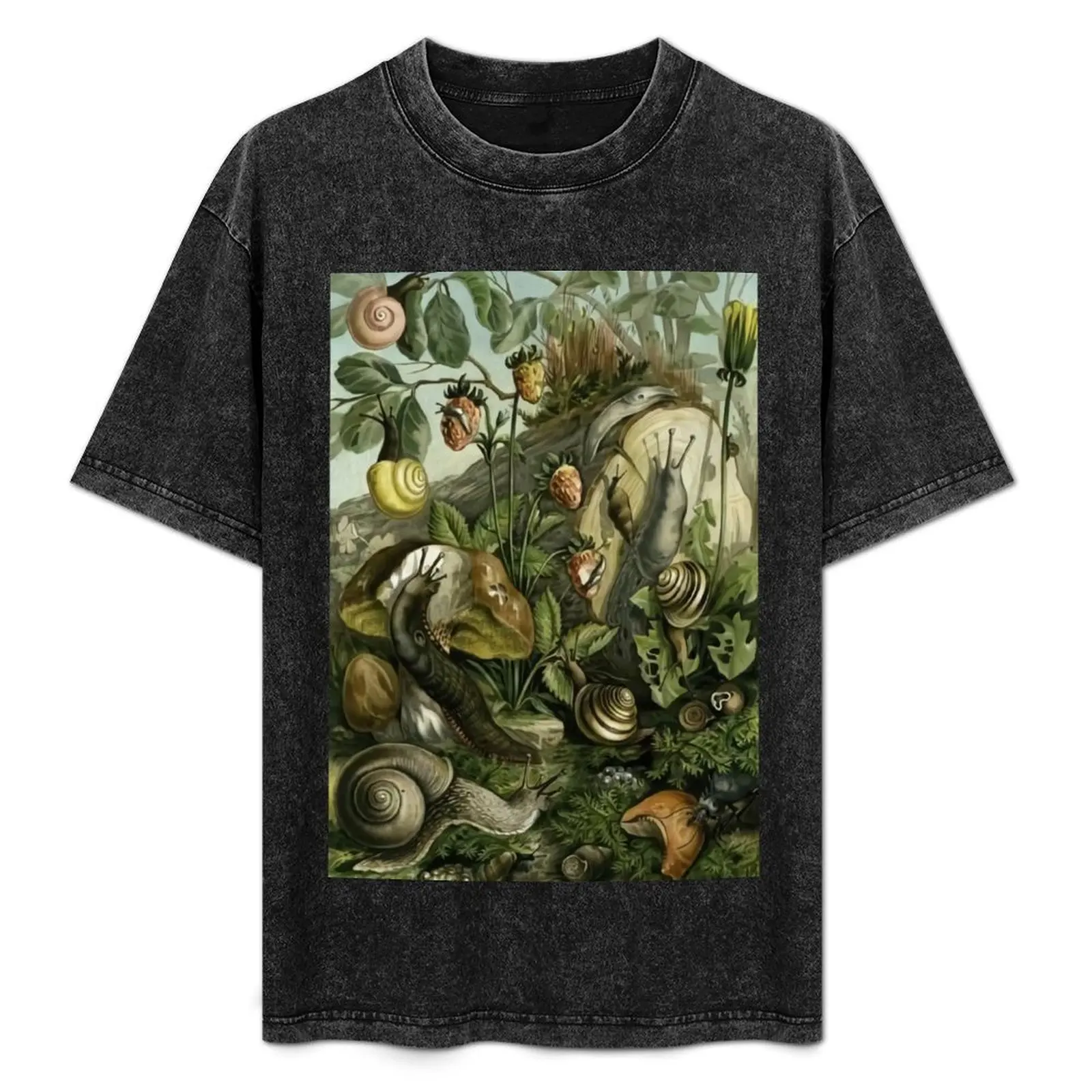 slugs and snails T-Shirt Large Size Short Sleeve T-Shirt
slugs and snails T-Shirt Large Size Short Sleeve T-Shirt