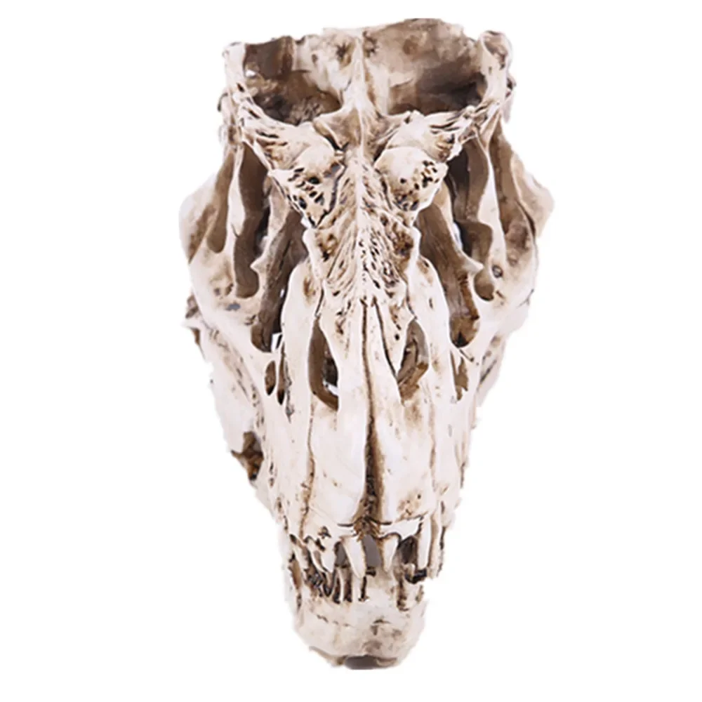 Venatosaurus Rex Skull Model Decoration Dinosaur Figure Toy Teaching Skeleton Model Halloween Festival Decor Collector Gift
Venatosaurus Rex Skull Model Decoration Dinosaur Figure Toy Teaching Skeleton Model Halloween Festival Decor Collector Gift