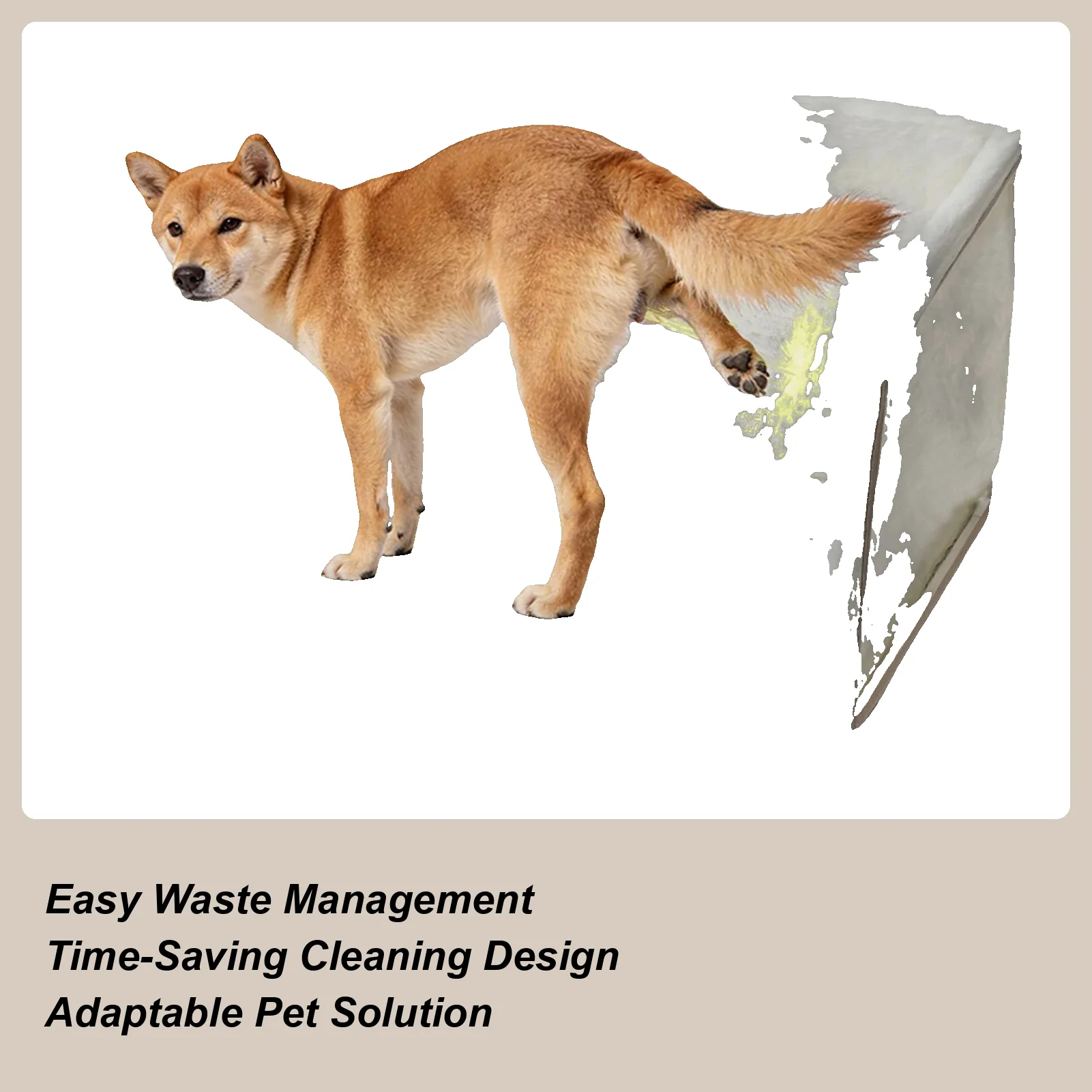 Dog Indoor Potty High Walls Splash-Proof Portable Dog Bathroom Indoor Litter Box For Small Medium Large Puppy Home Apartment
Dog Indoor Potty High Walls Splash-Proof Portable Dog Bathroom Indoor Litter Box For Small Medium Large Puppy Home Apartment